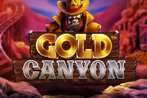 02166 gold canyon