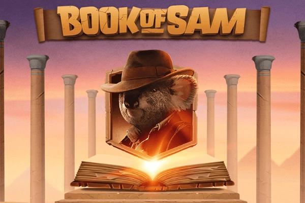 04964 book of sam