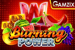 08408 burning power