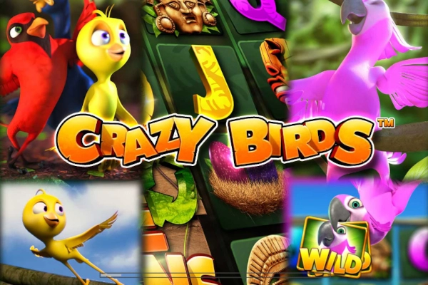 09255 crazy birds