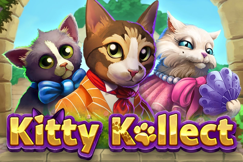 11133 kitty kollect