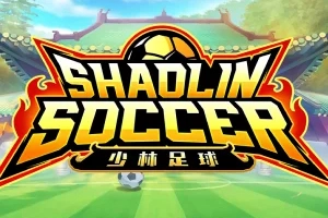 17687 shaolin soccer