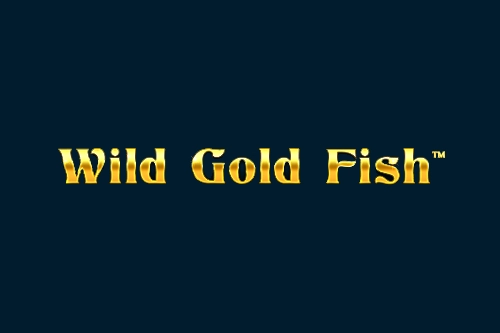 20173 wild gold fish