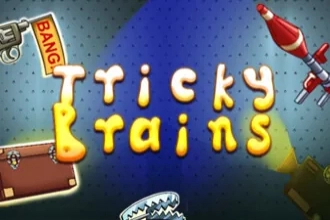 24541 tricky brains